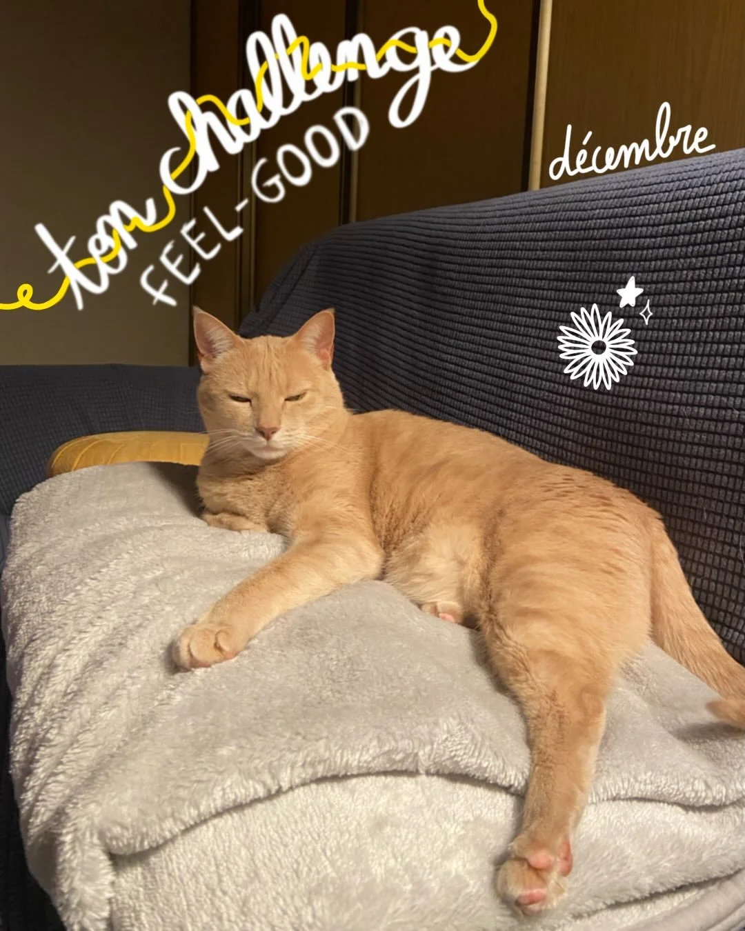 🎄 Challenge de d&eacute;cembre : oﬀre-toi un mois plus doux🎄

D&eacute;cembre&hellip; le mois o&ugrave; tout s&rsquo;emballe sans te demander ton avis.

Les obligations, les f&ecirc;tes qui approchent, les &eacute;motions familiales, la fatigue qui