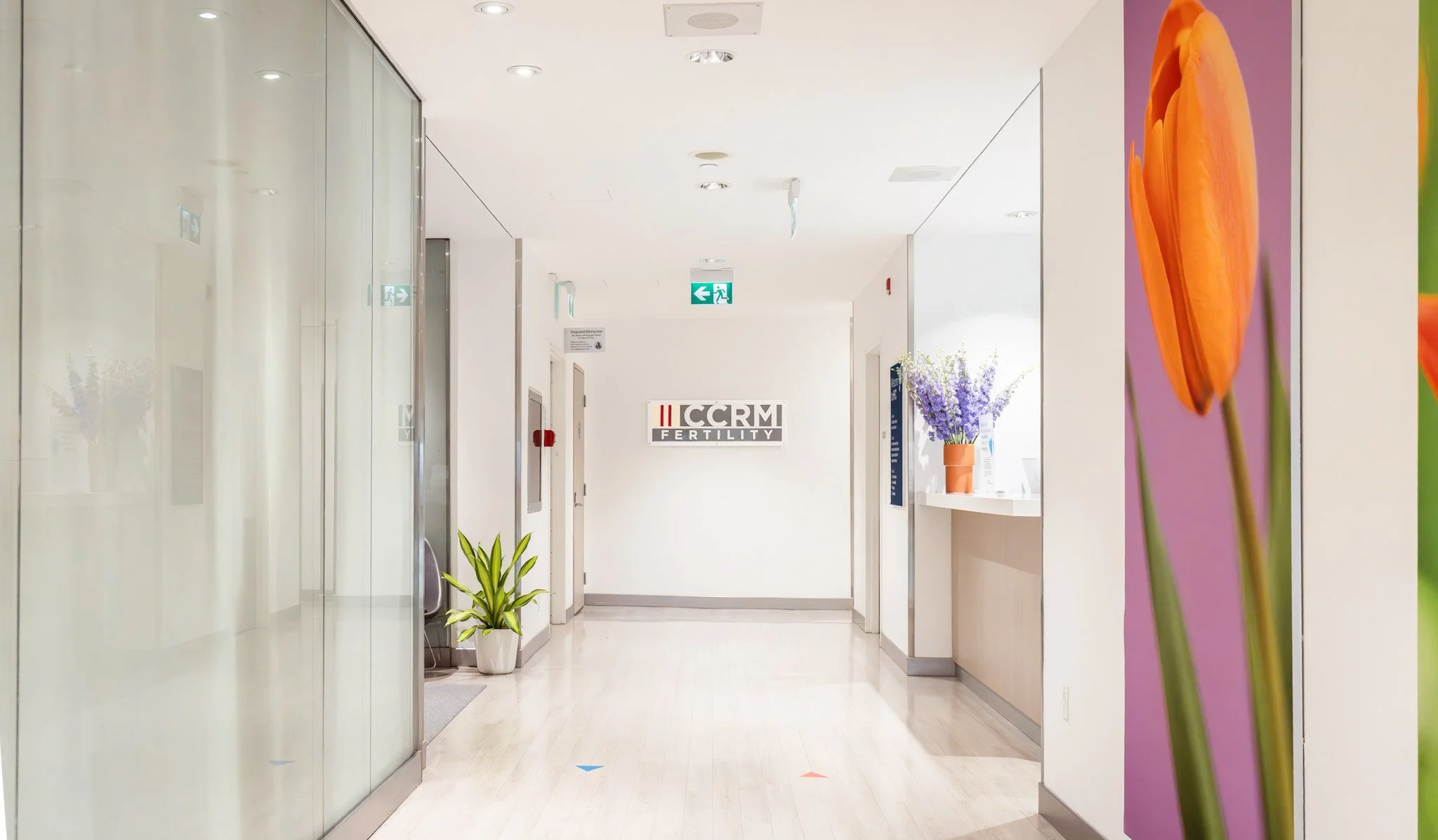 Hannam Fertility Centre Hallway with CCRM Lab