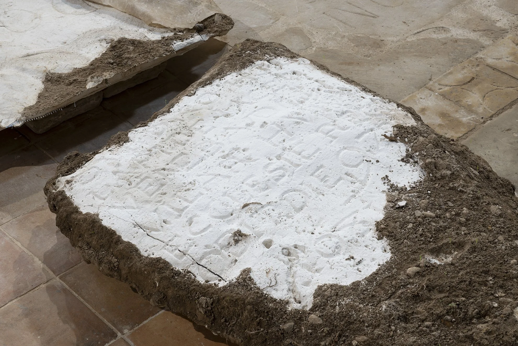 Detail. Monia Ben Hamouda. Ghost (Espinavessa), 2026. Plaster, oak, and soil. 184 x 94 x 27 cm.
Image by Roberto Ruiz. Courtesy of the artist and Spiritvessel.