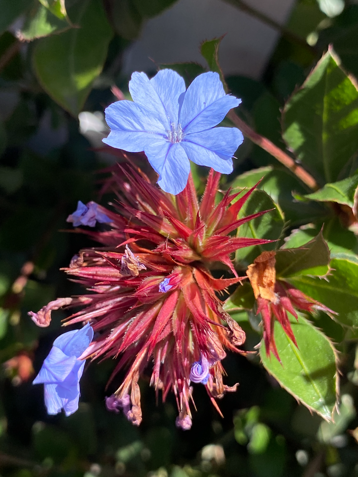 Screen Shot 2026-03-05 at 8.44.25 pm.png