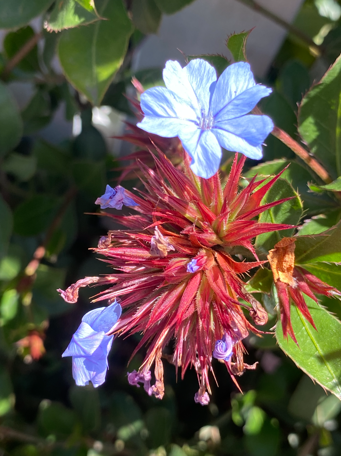 Screen Shot 2026-03-05 at 8.44.07 pm.png