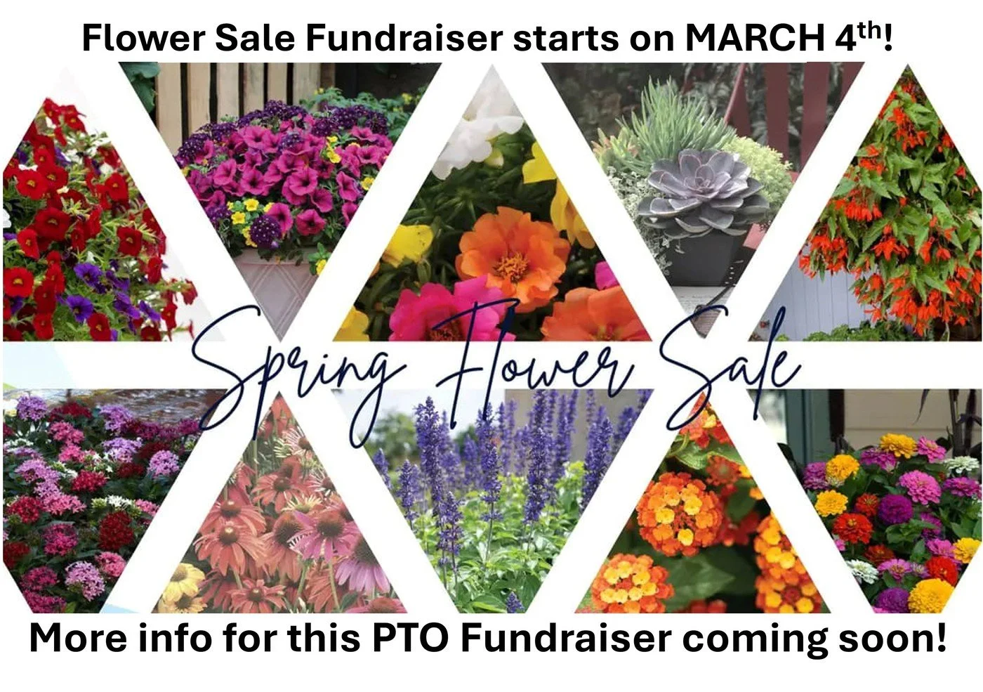 Mason Flower Sale Fundraiser - SALE  DAYS!