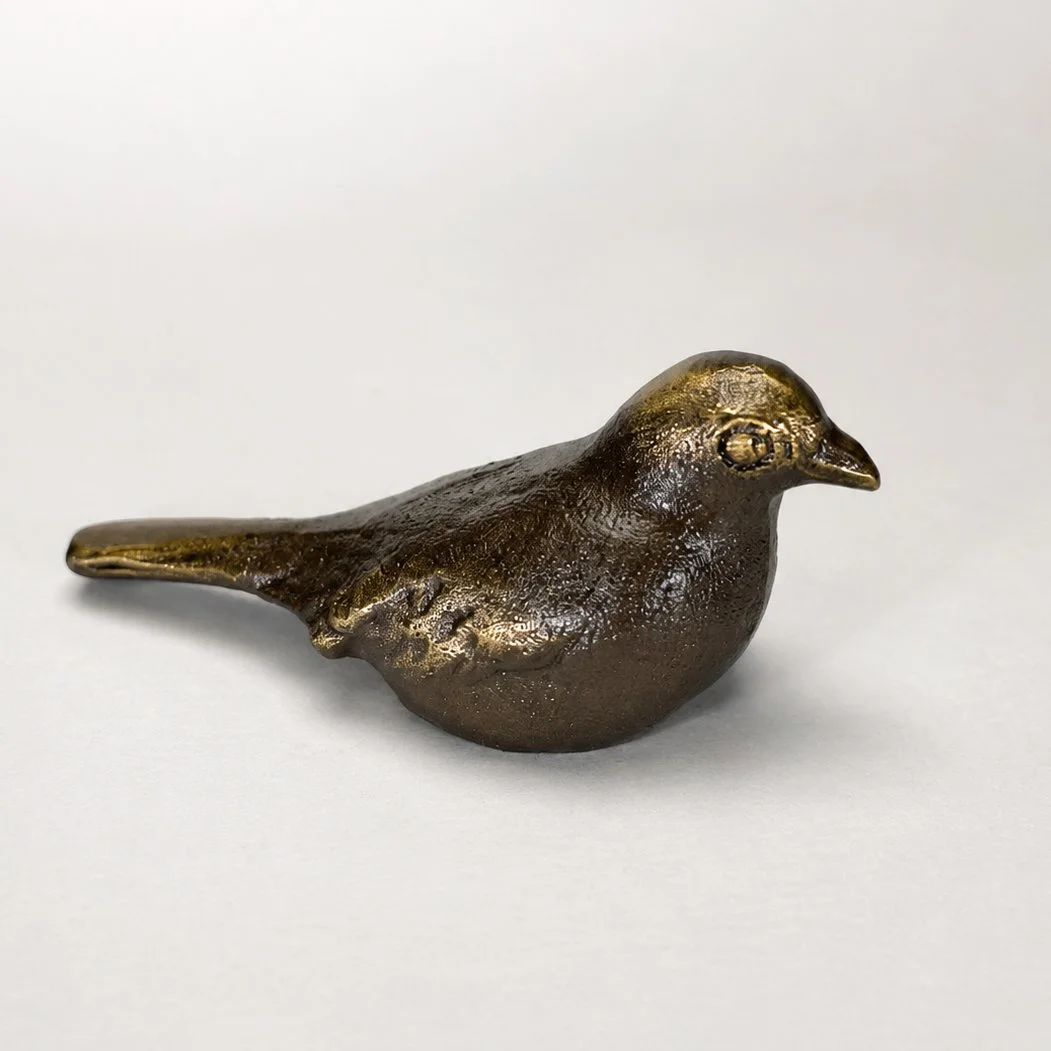 LongTailBird711.jpg