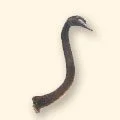 338
Swan Hook
6" L • 6.7oz