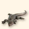 266
Lizard
6 1/2" L • 9.2oz
