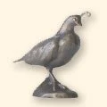 223
California Quail
4" H