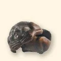329
Roly-Poly Box
3" H • 2lbs 7oz