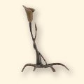 290
Calla Root
12" H • 2lbs 3oz