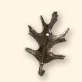 344
Oak Leaf Hook
4 1/2" H • 3oz
