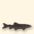 439R
Trout Pull
5" L • 4oz