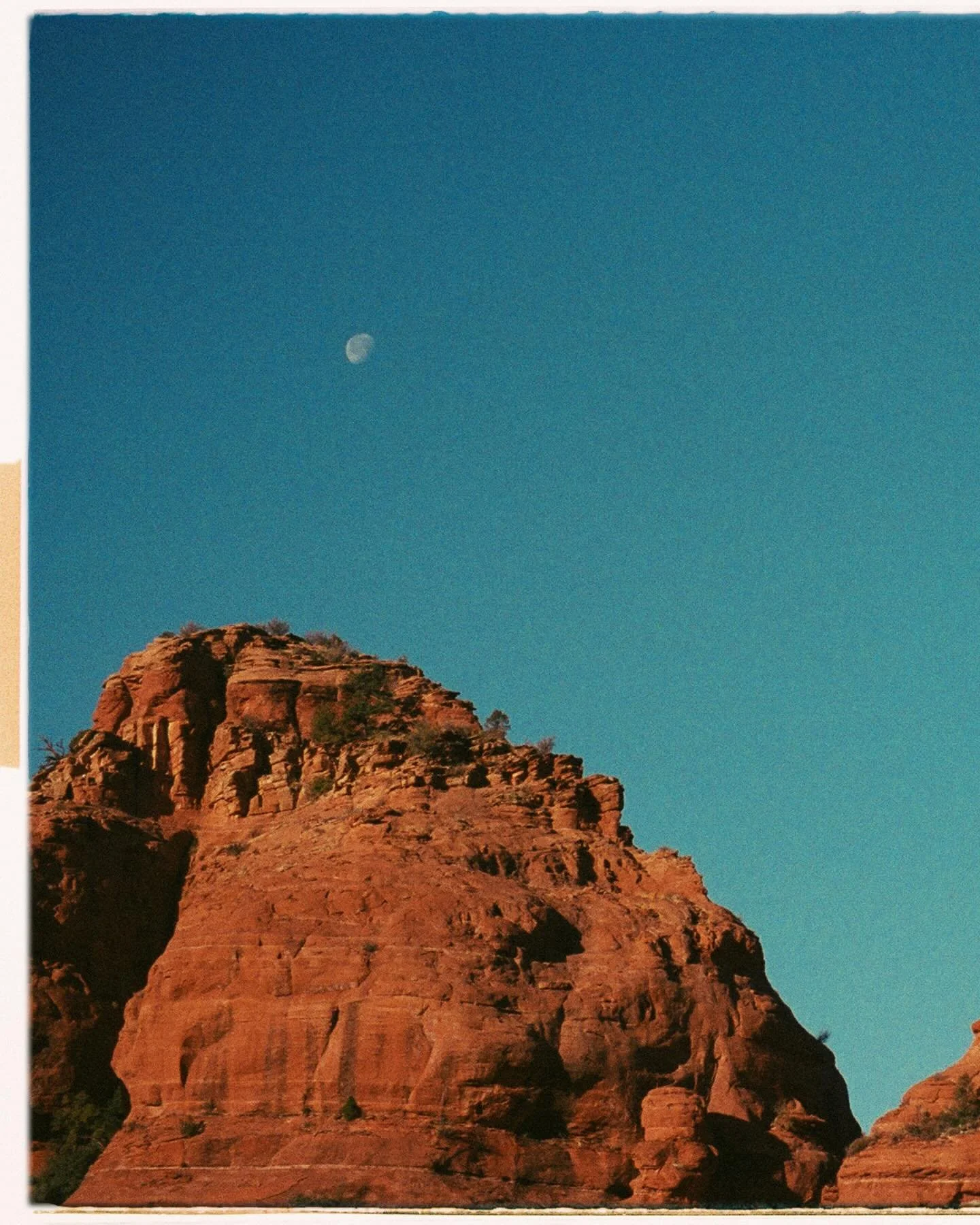 What privilege it was to experience all of this beauty in one year