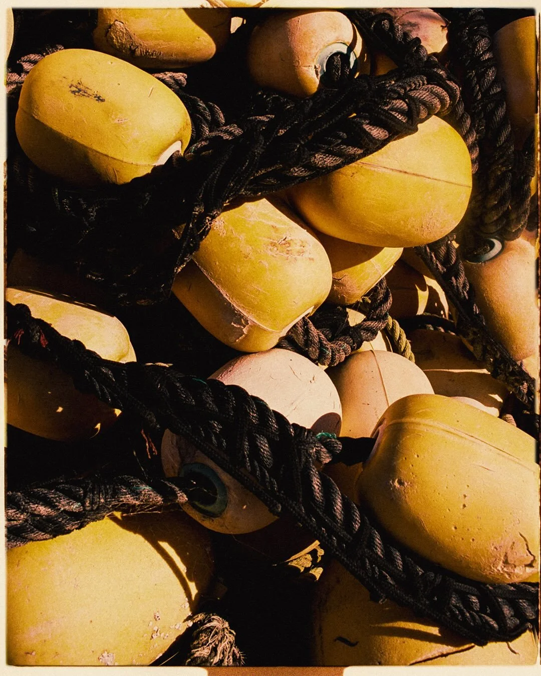 Textures from Toi 🌊 [Izu, Japan]