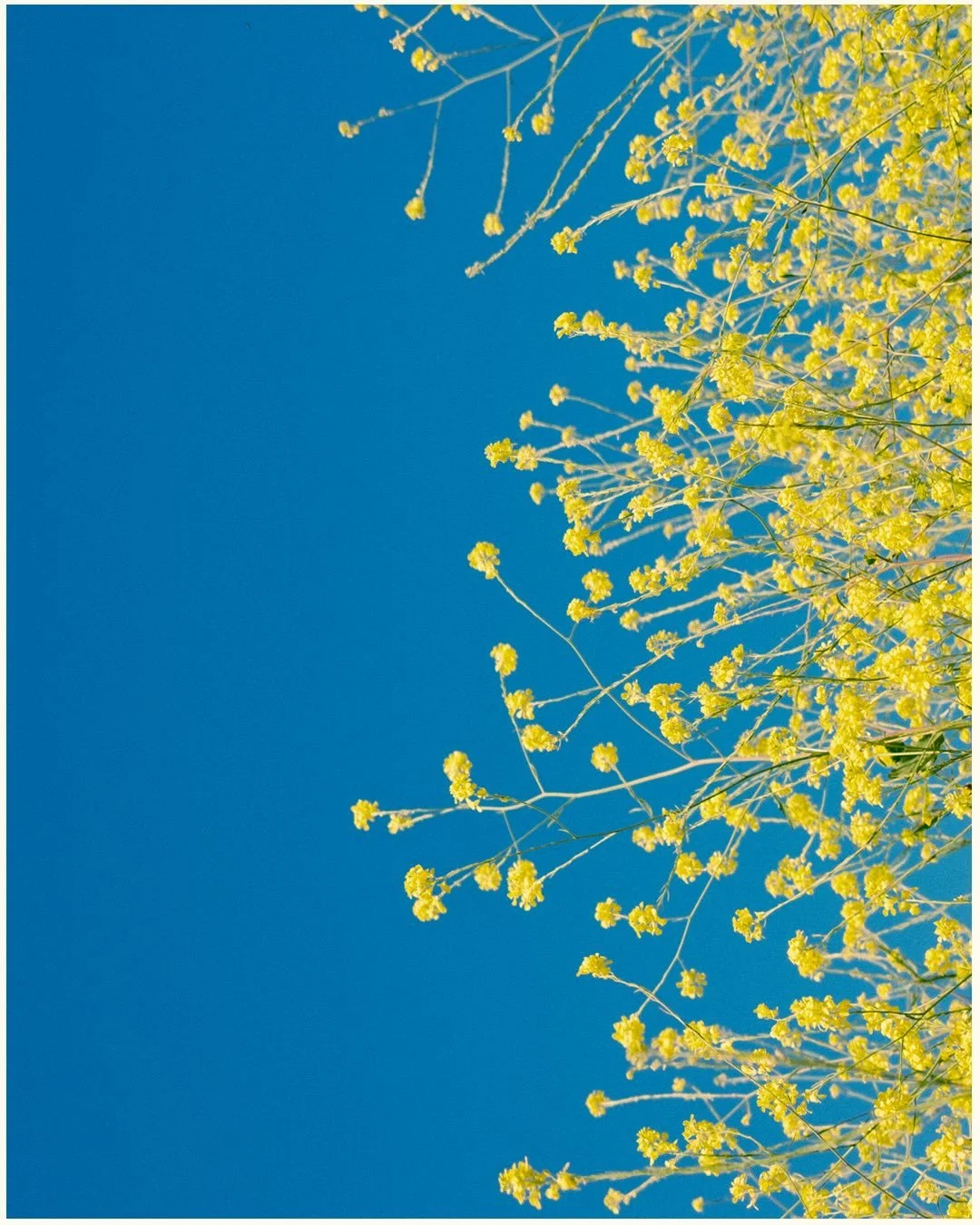 Lindsey &amp; Diana&rsquo;s weekend of beauty 🌀💛🌳