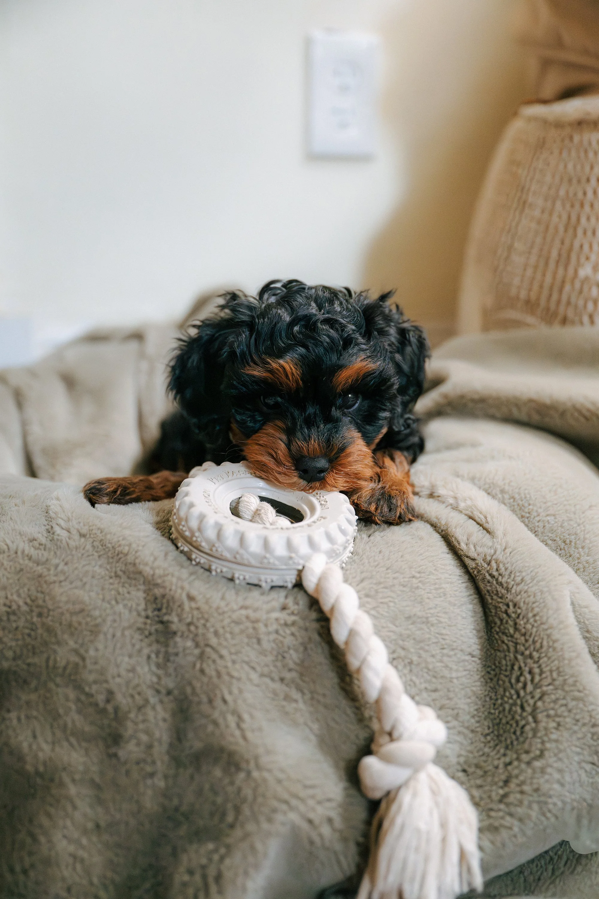 AlwaysGrowingCreative_Millie_4.jpg