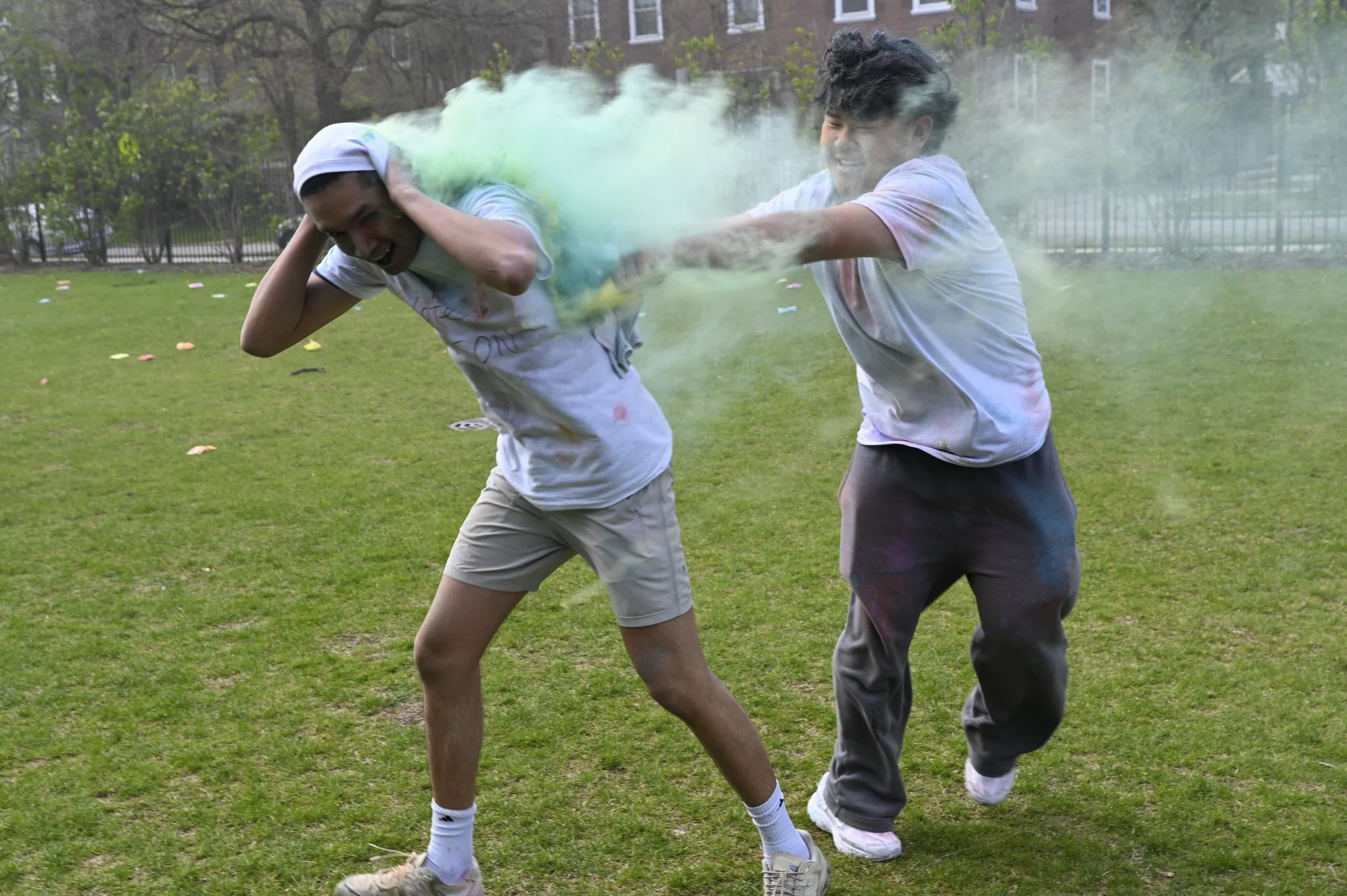 2HOLI.jpg