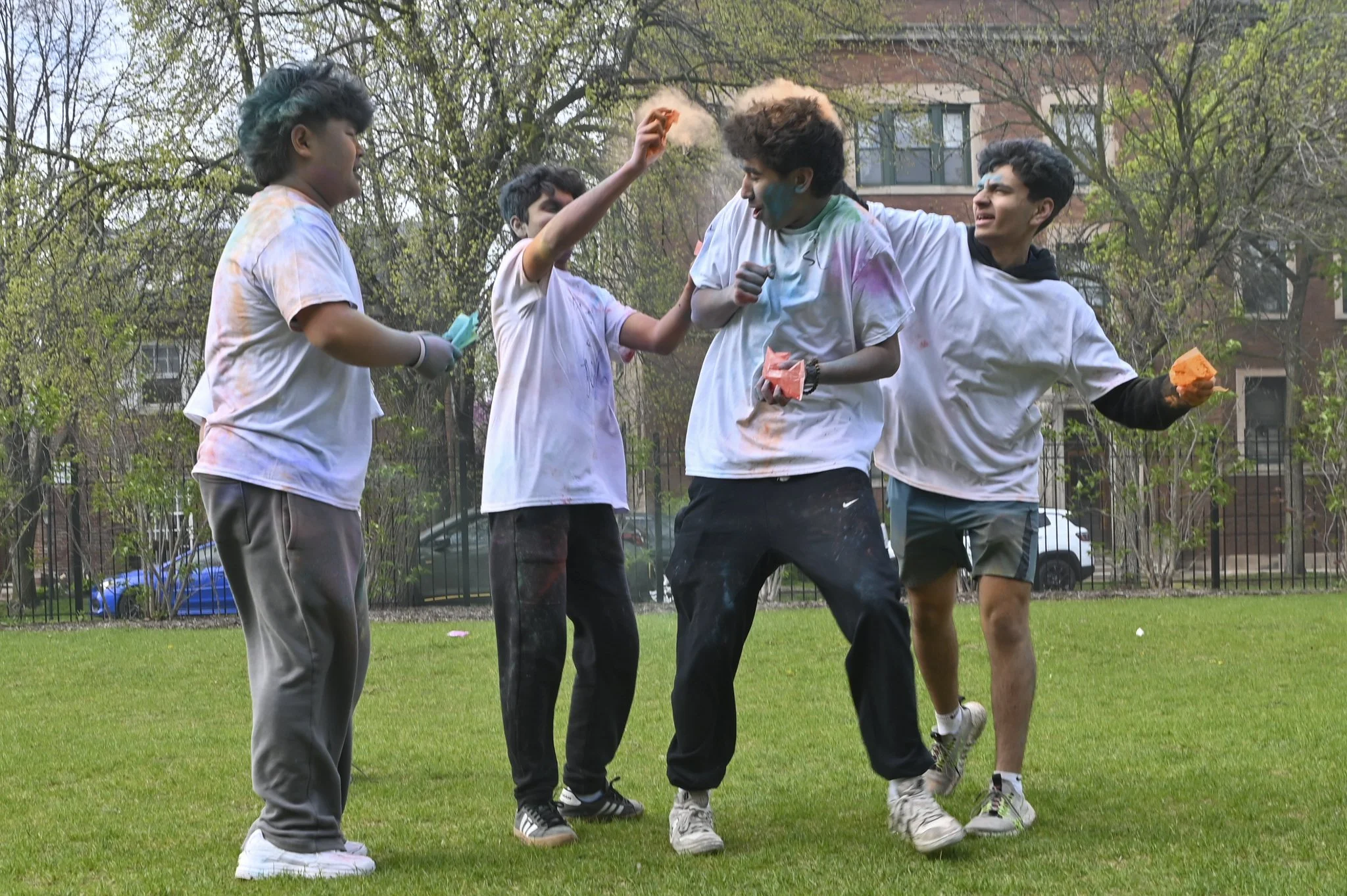 HOLI.jpg