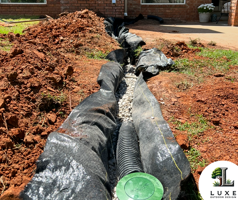 diane drain after canv a.png