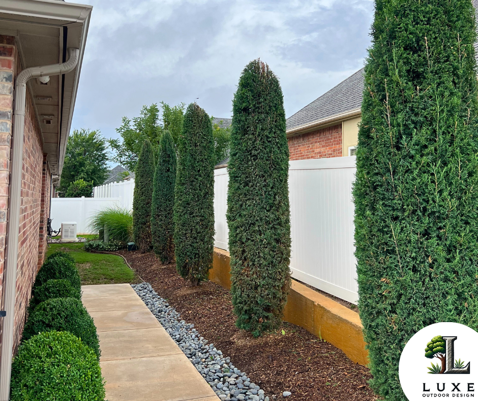 kay caswell pines after canva.png