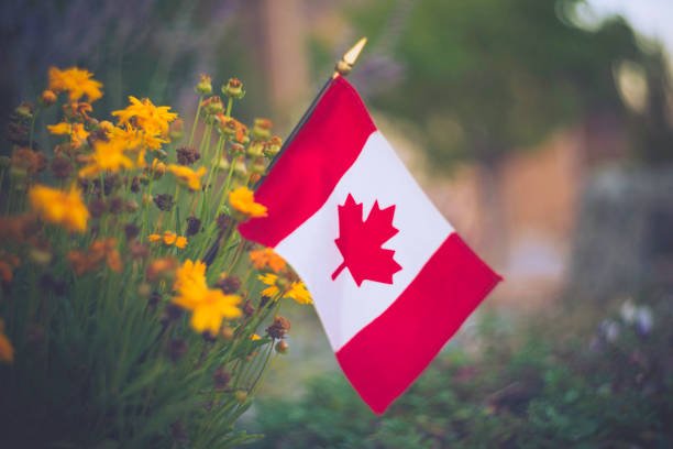 istockphoto-843921470-612x612.jpeg