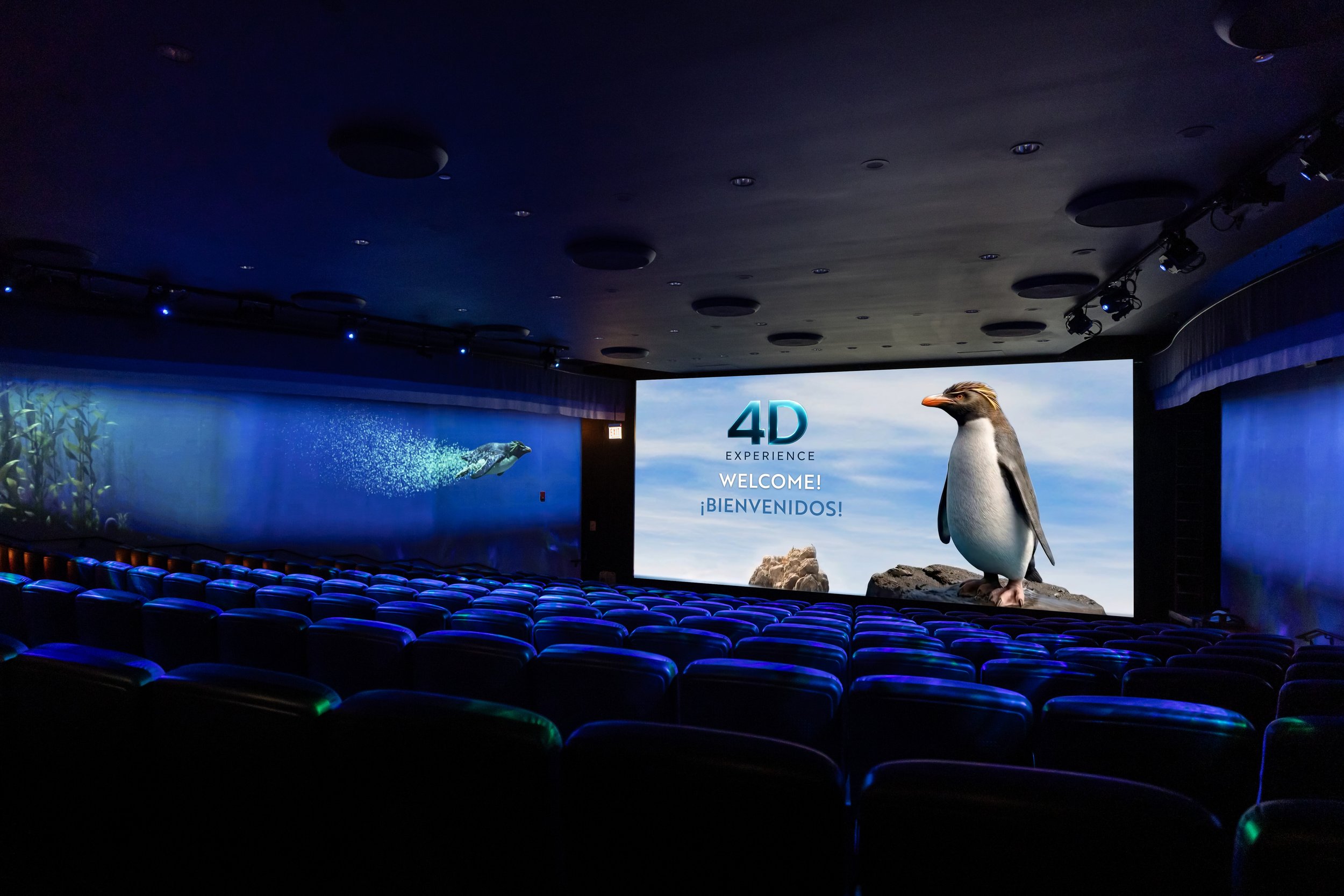 SimEx-Iwerks and Shedd Aquarium Open New Immersion Theater Attraction