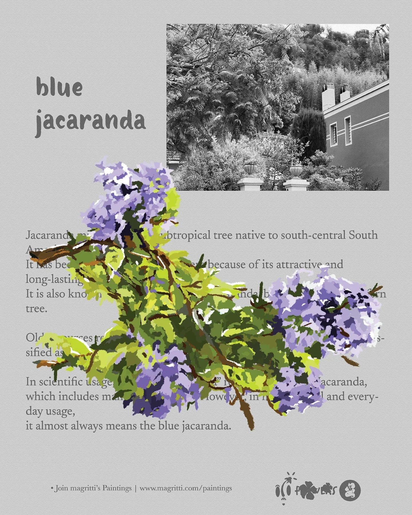 Fling; Blue jacaranda From France

❀ Blue jacaranda spotted in Menton, France. June 2023 | Cont&eacute; crayon in Fresco

❊ Promenade Val du Carei, Menton, France. June 2023

&hellip;

#magritti #magrittidesign 

#designstudio #creativestudio #plantd