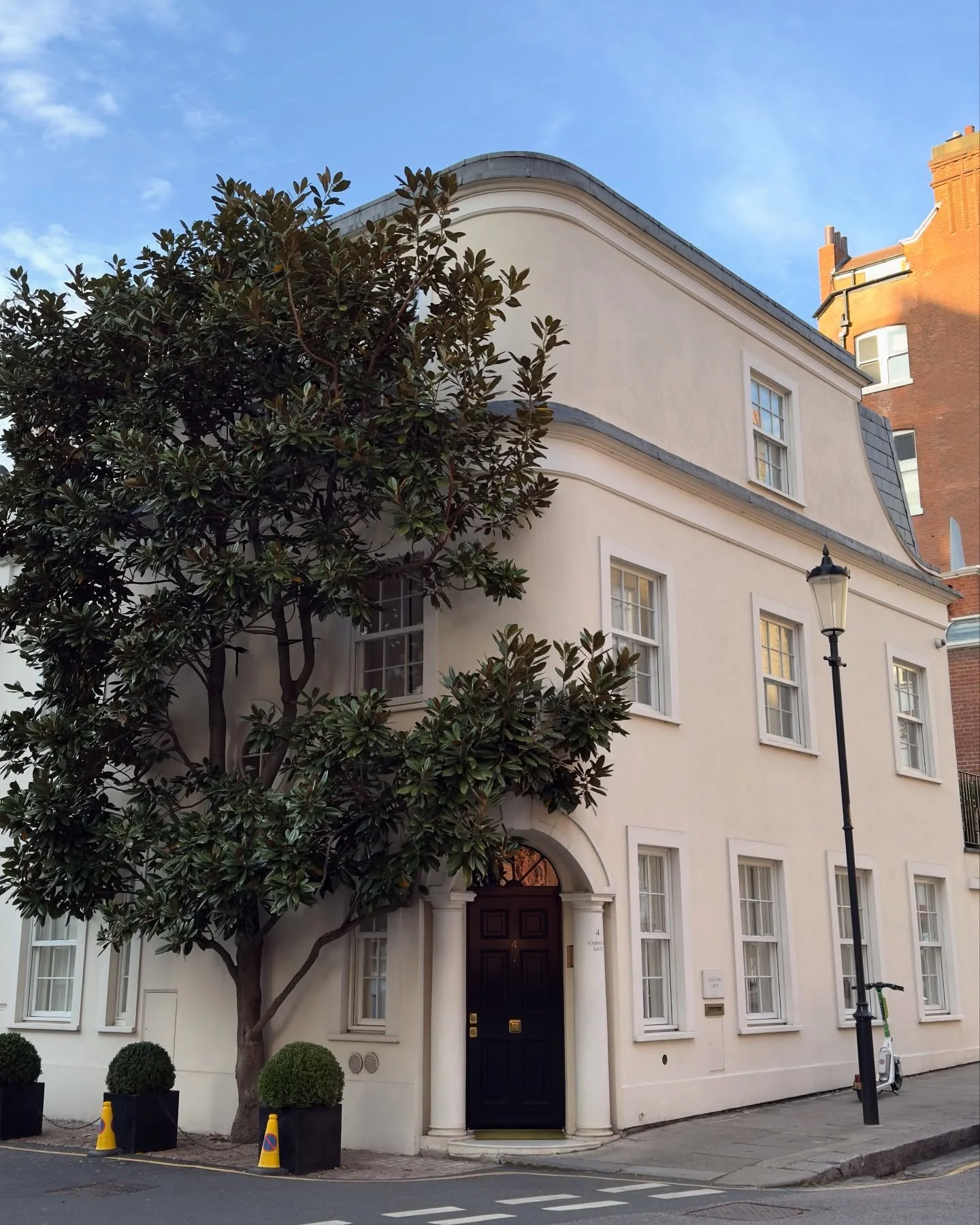 🇬🇧 Botanical archives gathered in Chelsea and South Kensington

❊ London, United Kingdom. January - May 2025

&hellip;

#magritti #magrittidesign 

#designstudio #creativestudio #graphicdesign #plants #plantlife #flowers #botanical #archive #artmag