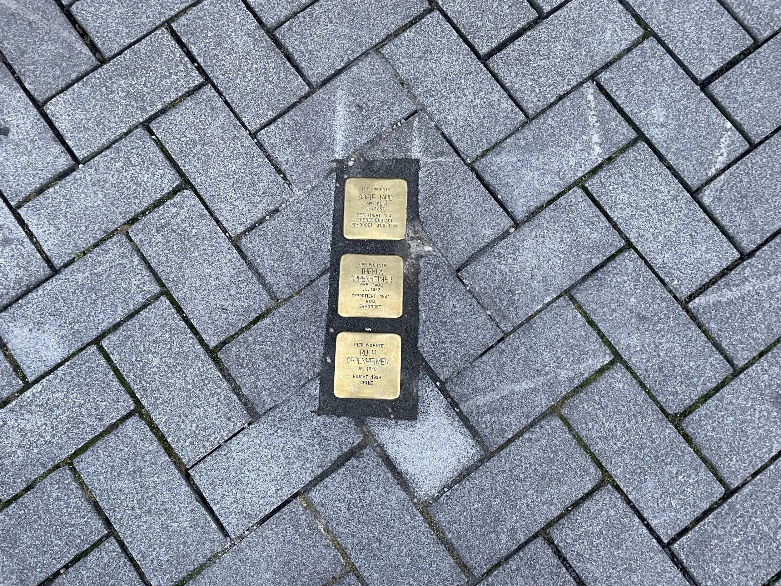 stolpersteine22©robynreed - 13.jpeg