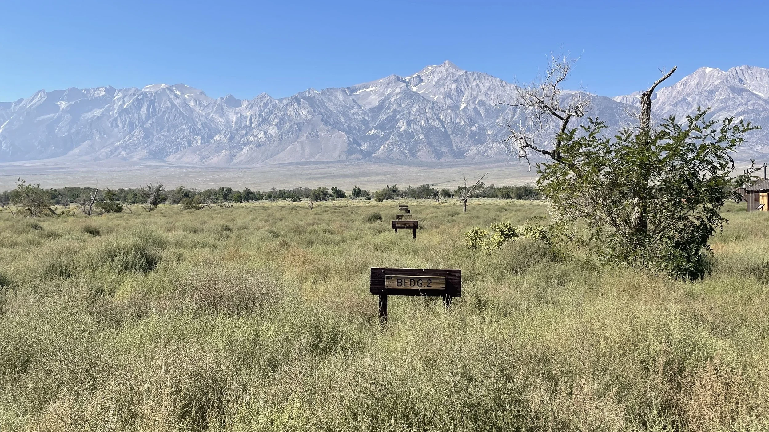 MANZANAR23©robynreed - 5.jpeg