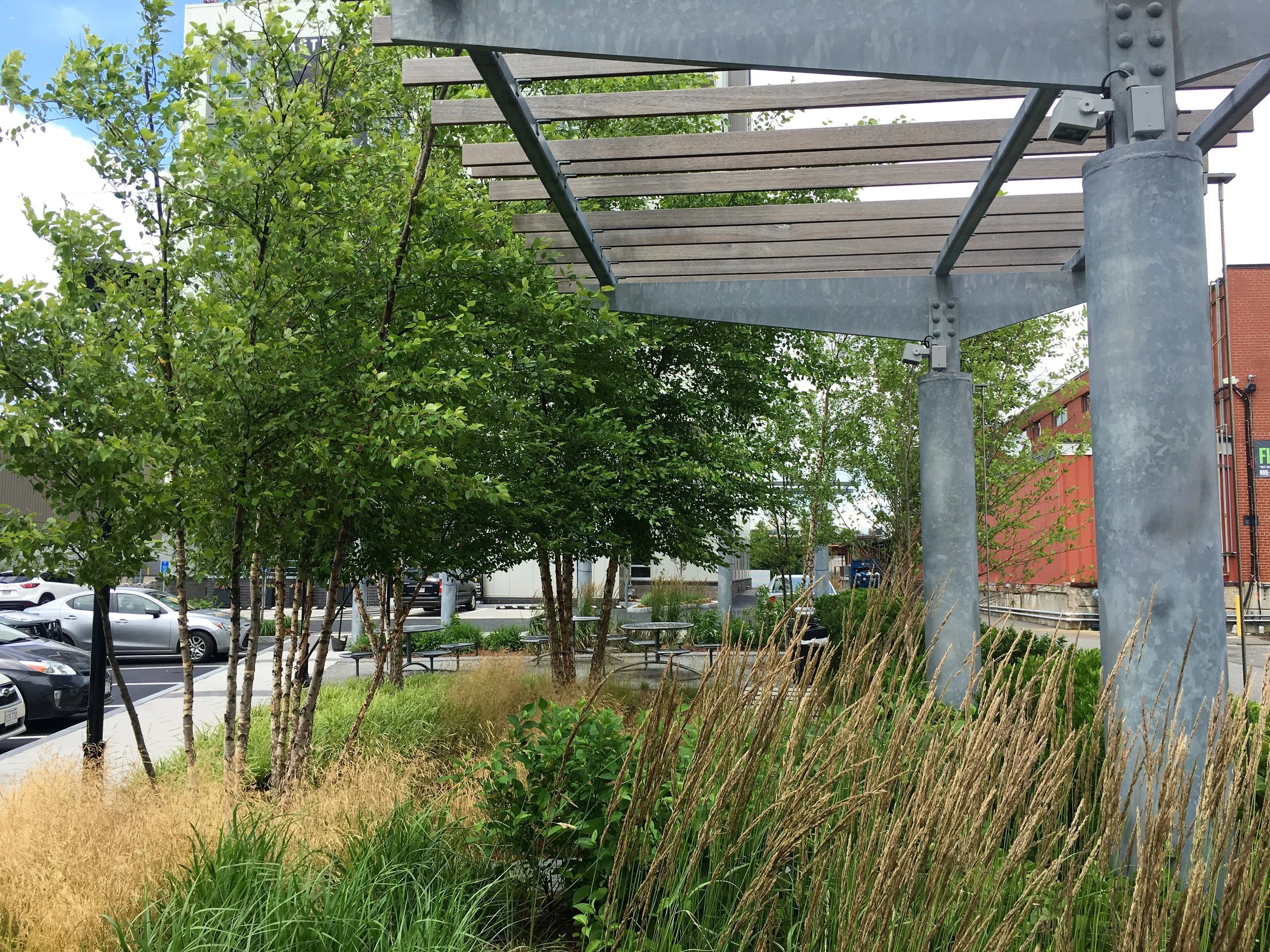Urban outdoor scene with trees, grass, parking lot, cars, building, and a metal structure with wooden slats.