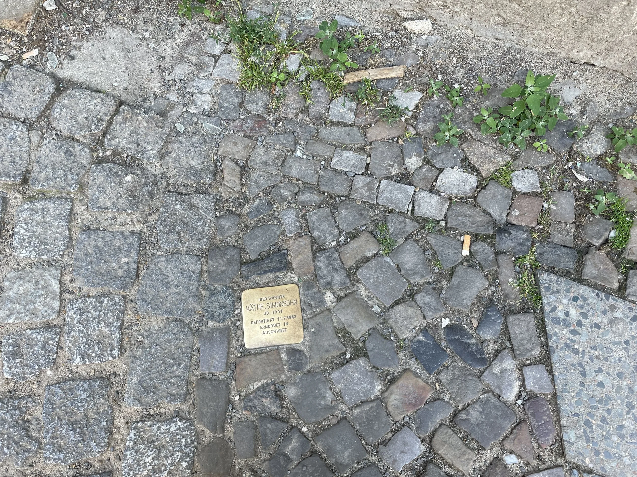 Cobblestone street with small plants growing between the stones. A commemorative plaque is embedded in the cobblestones, partially visible, with German and English text, mentioning the name Käthe Simonsohn, born in 1891, deported in 1942 from Auschwi
