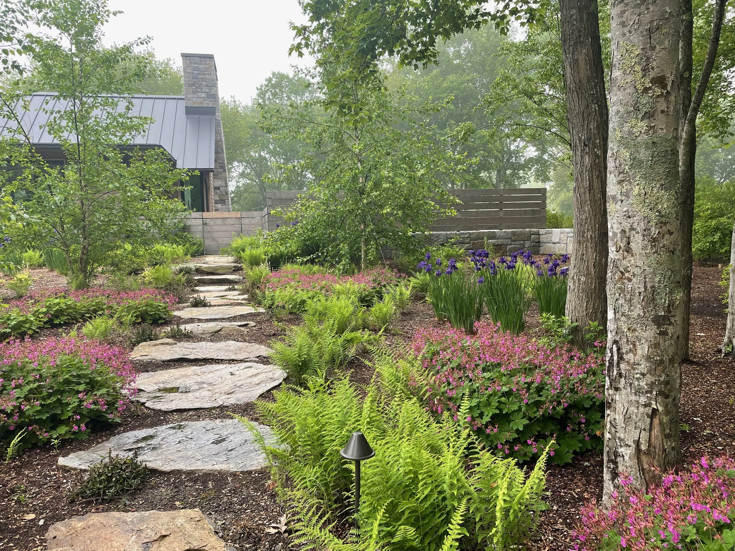 A lush garden with a stone pathway leading to a modern house with a metal roof and stone chimney, surrounded by trees, purple irises, and pink flowers.