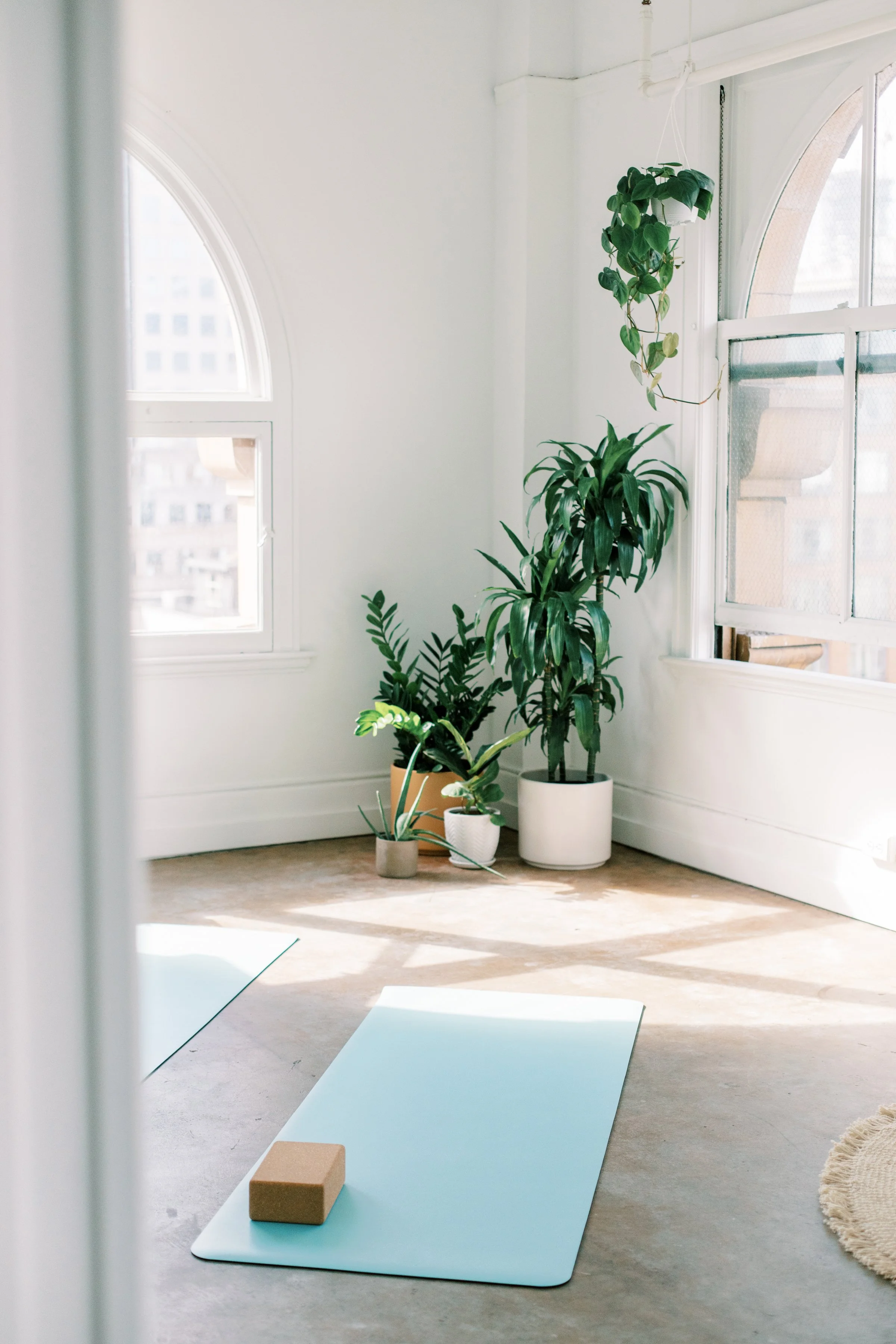 Sunshadow Studios | Nutrition Coach in California