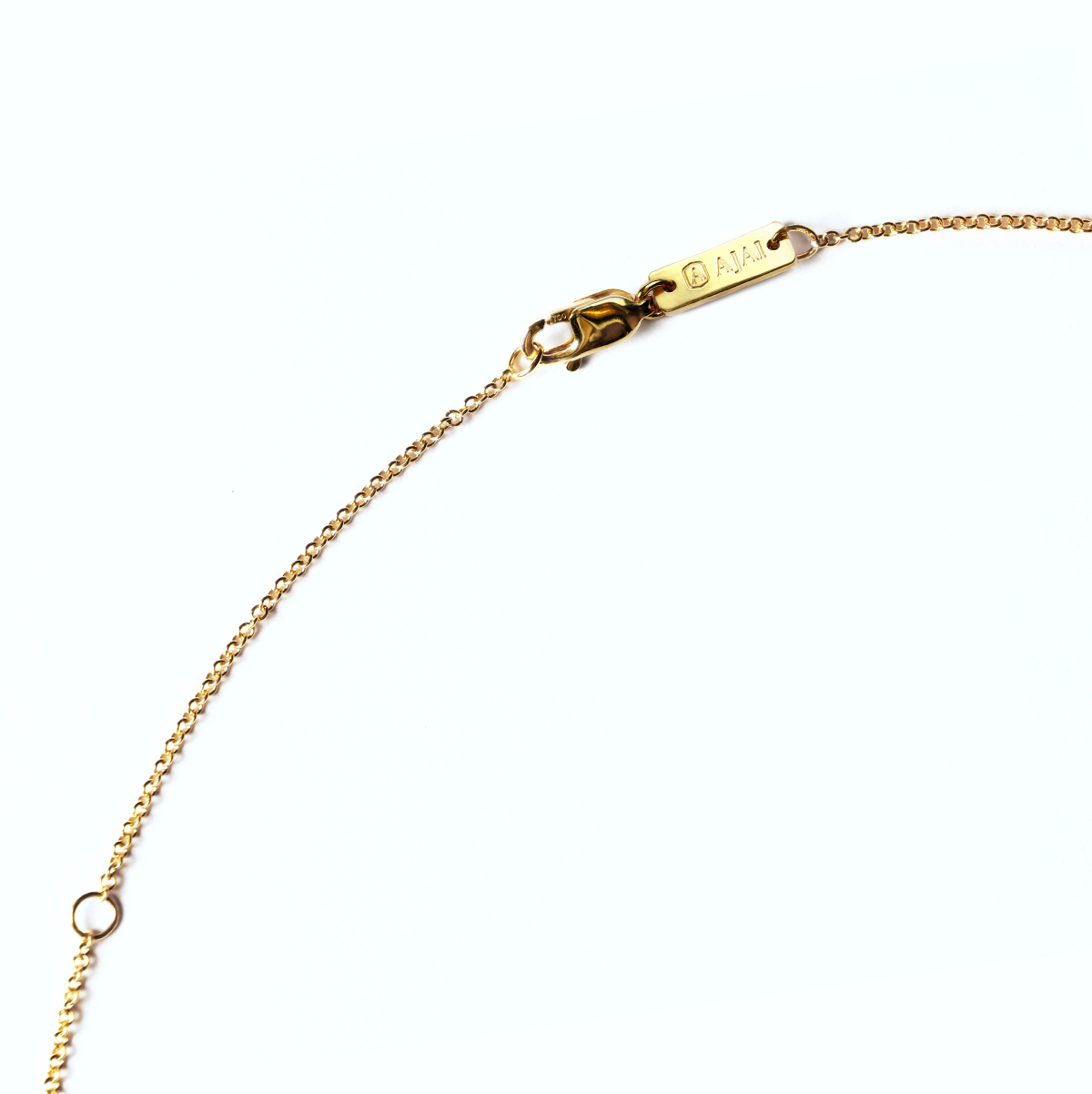 AJAI Clasp Close-Up Product Photo.png