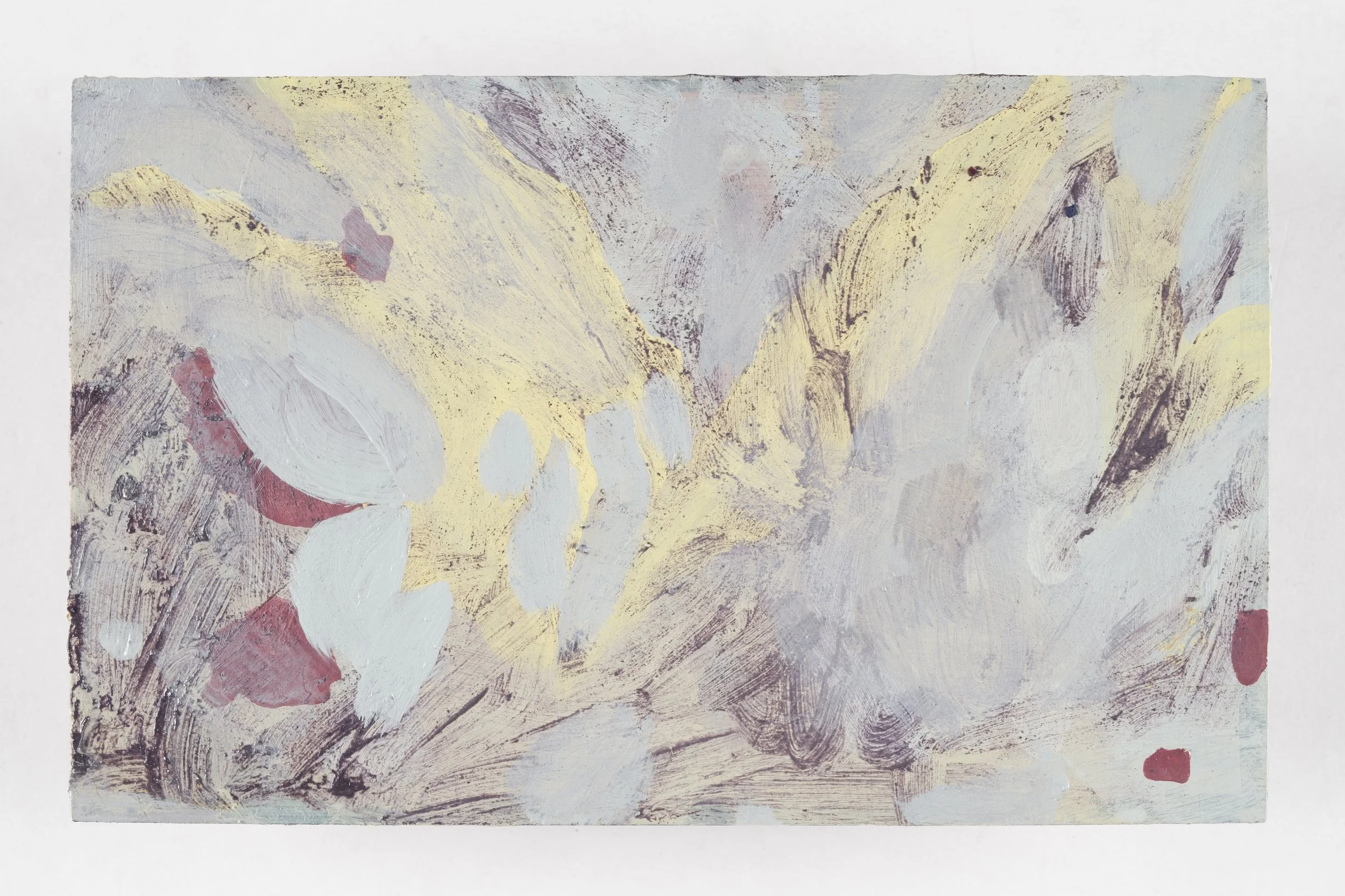 'arctic sand', 2026, close-up.