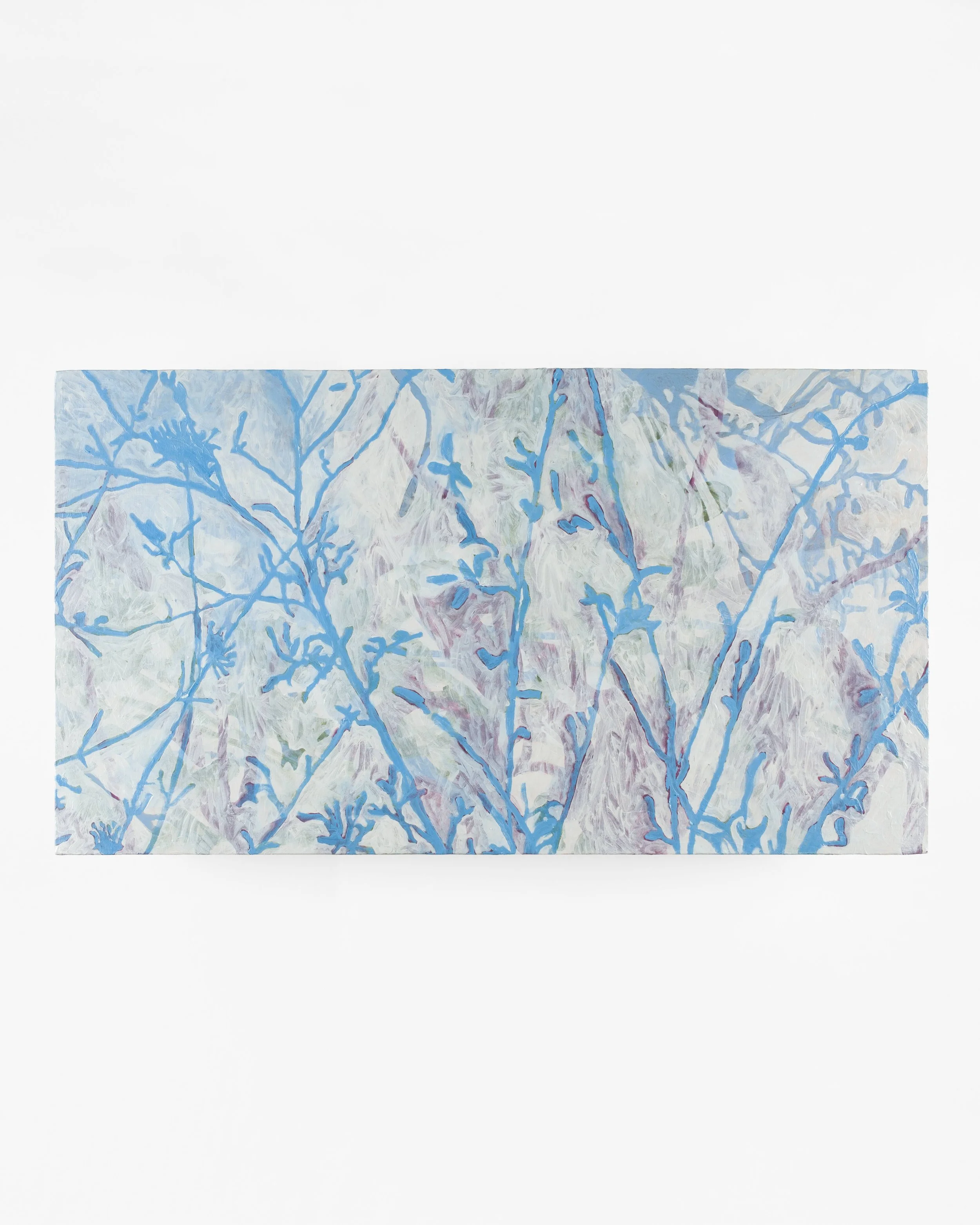 'samphire coast', 2026, acrylic and oil on canvas.