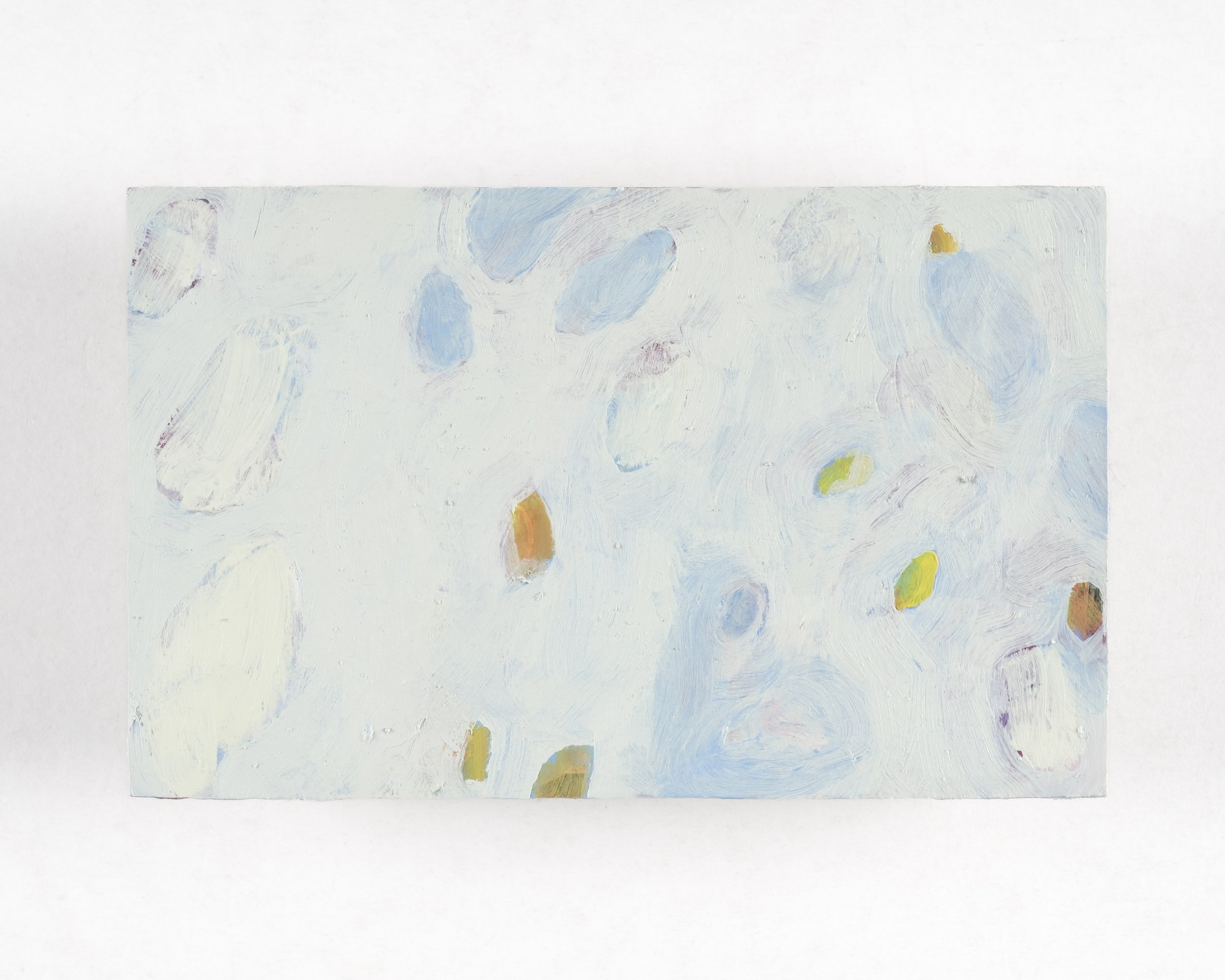 'agave cat', 2026, in situ.