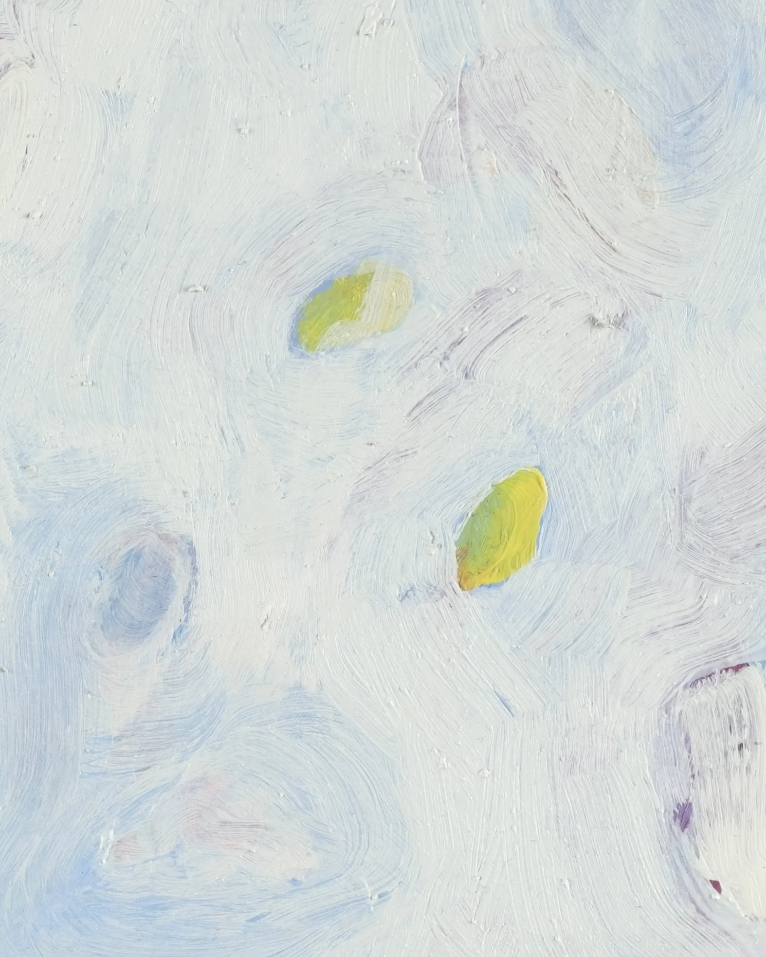 A detail from 'agave cat', 2026.