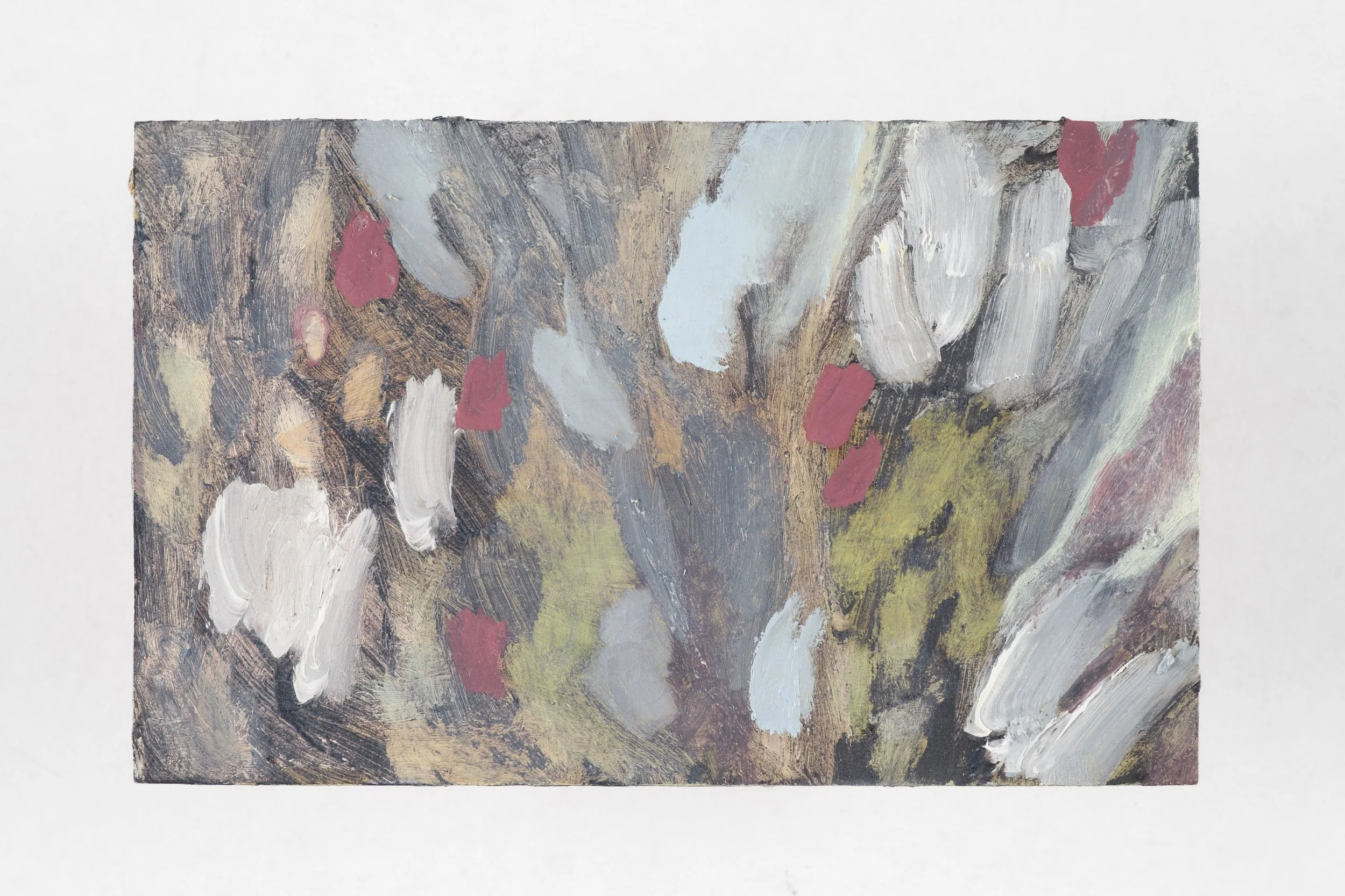 'heatherdown', 2026, close-up.