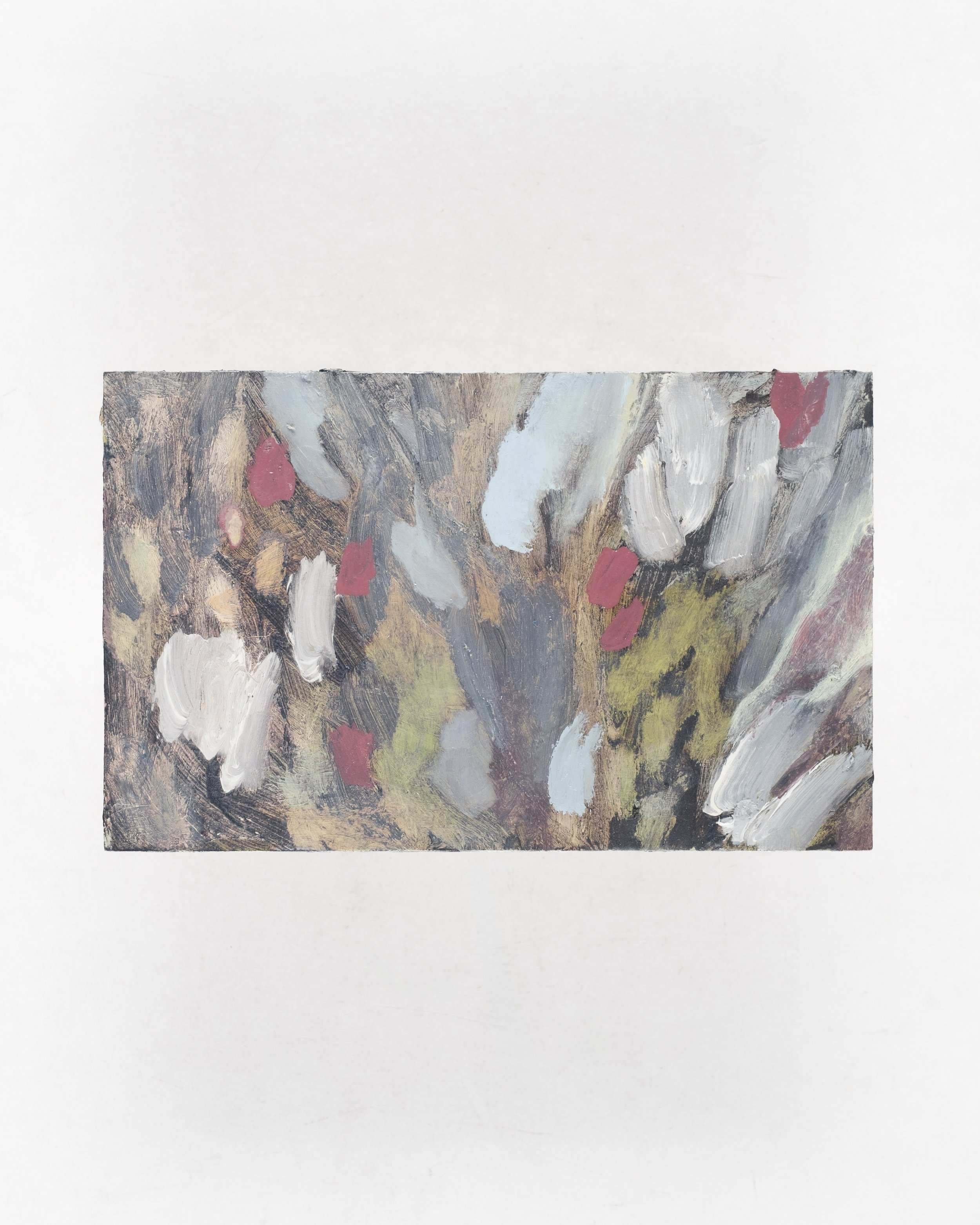 'heatherdown', 2026, in situ.