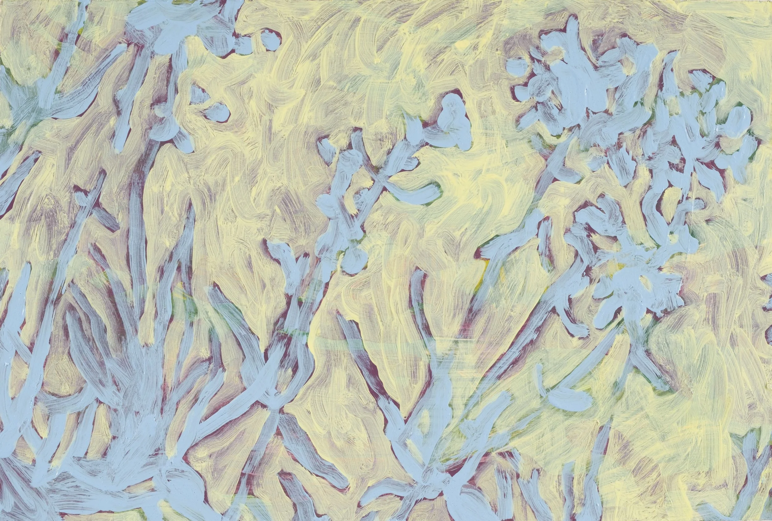 A close-up of 'ginger fountain', 2026.