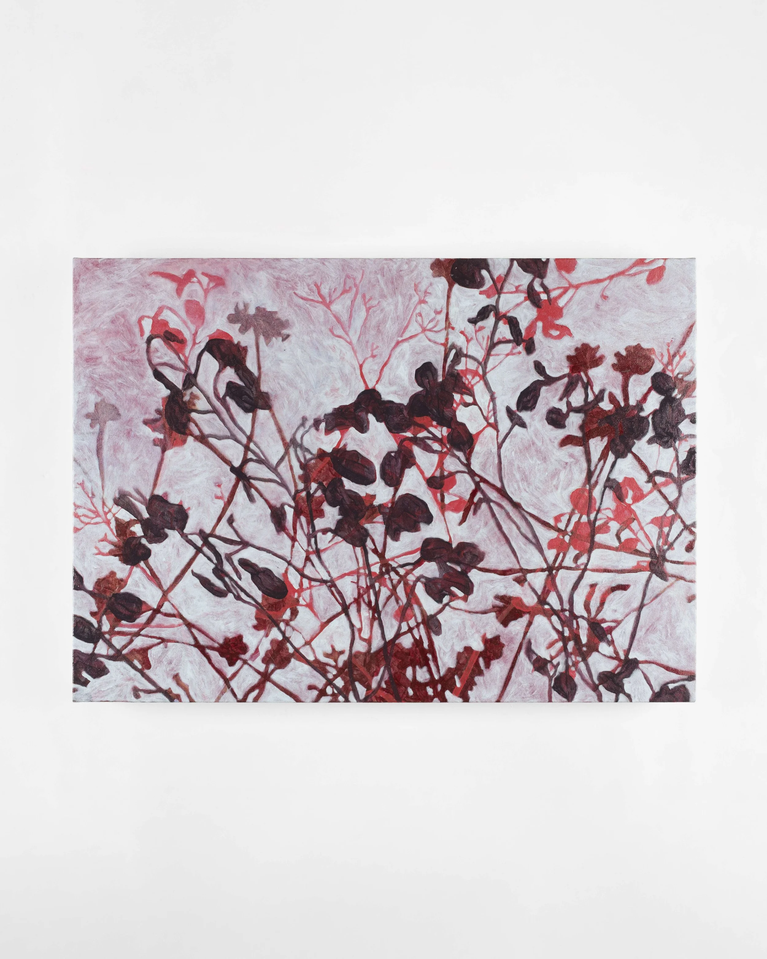 'ermine and velvet', hanging in-situ on a white wall.