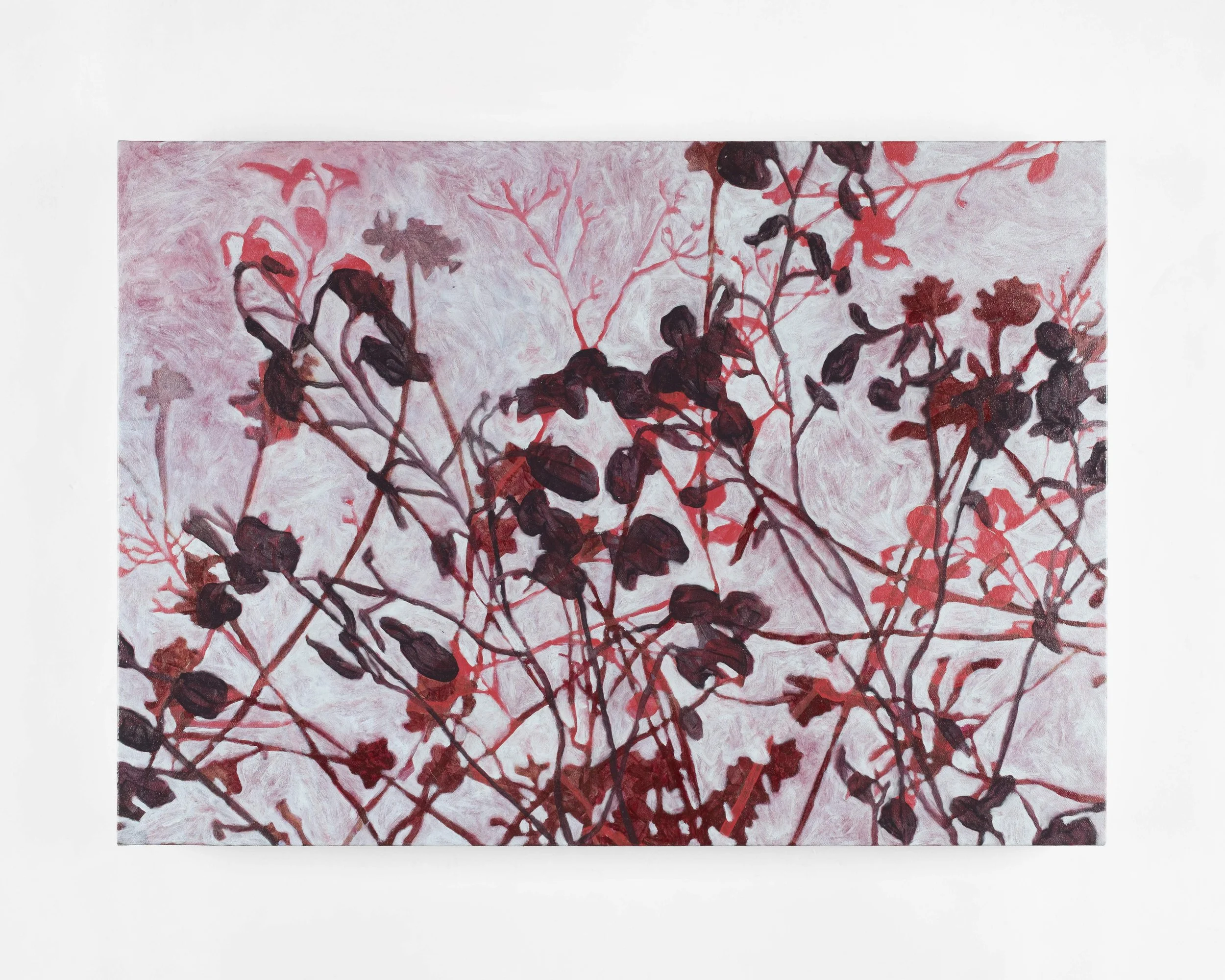 'ermine and velvet', 2026, in-situ.