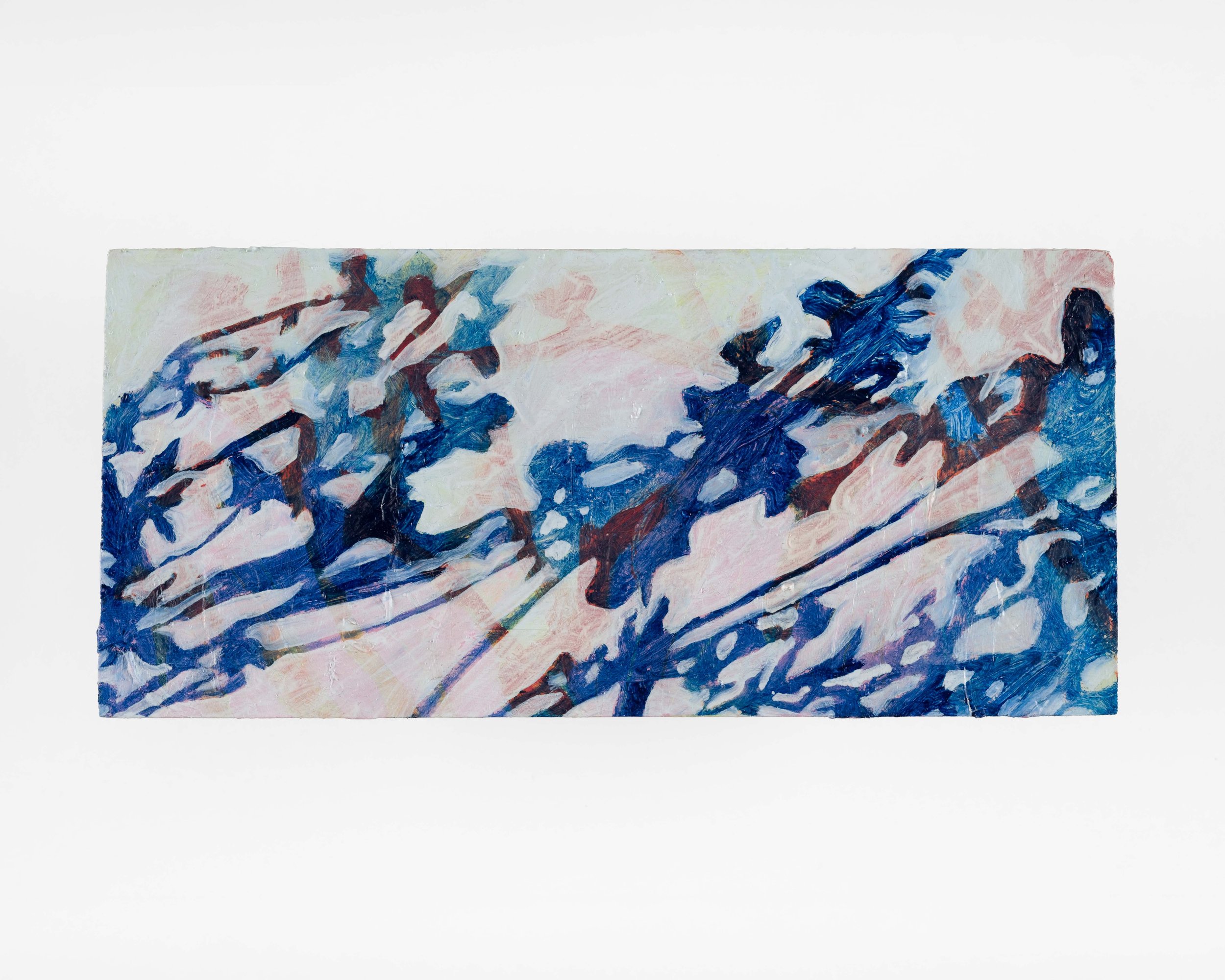 'blue speedwell', 2026