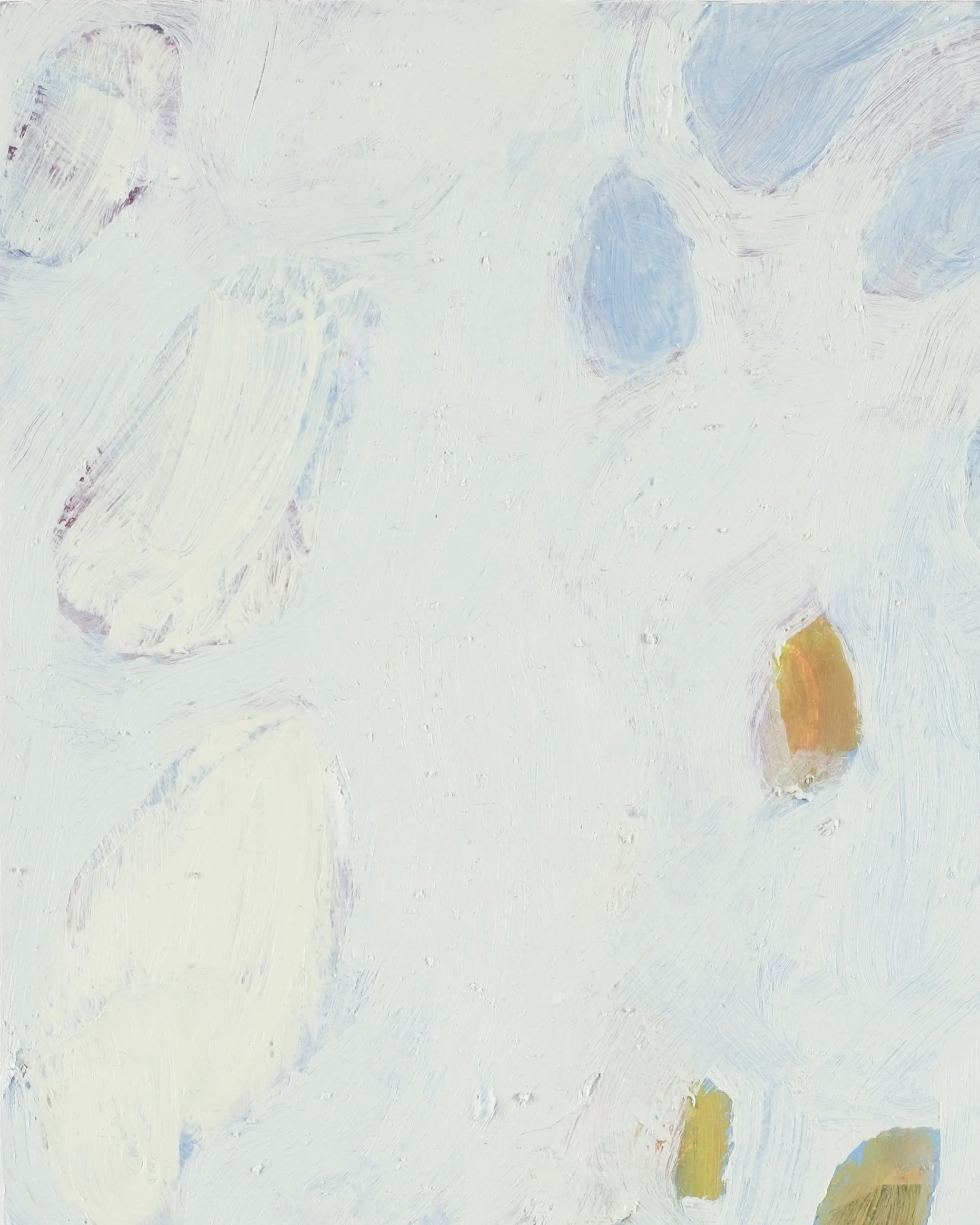 A detail from 'agave cat', 2026.