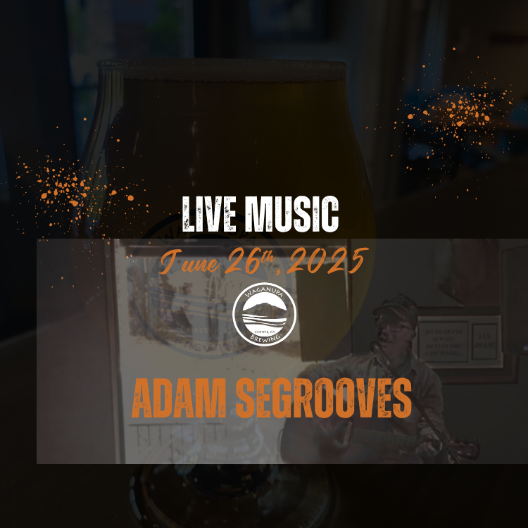 Live Music - Adam Segrooves