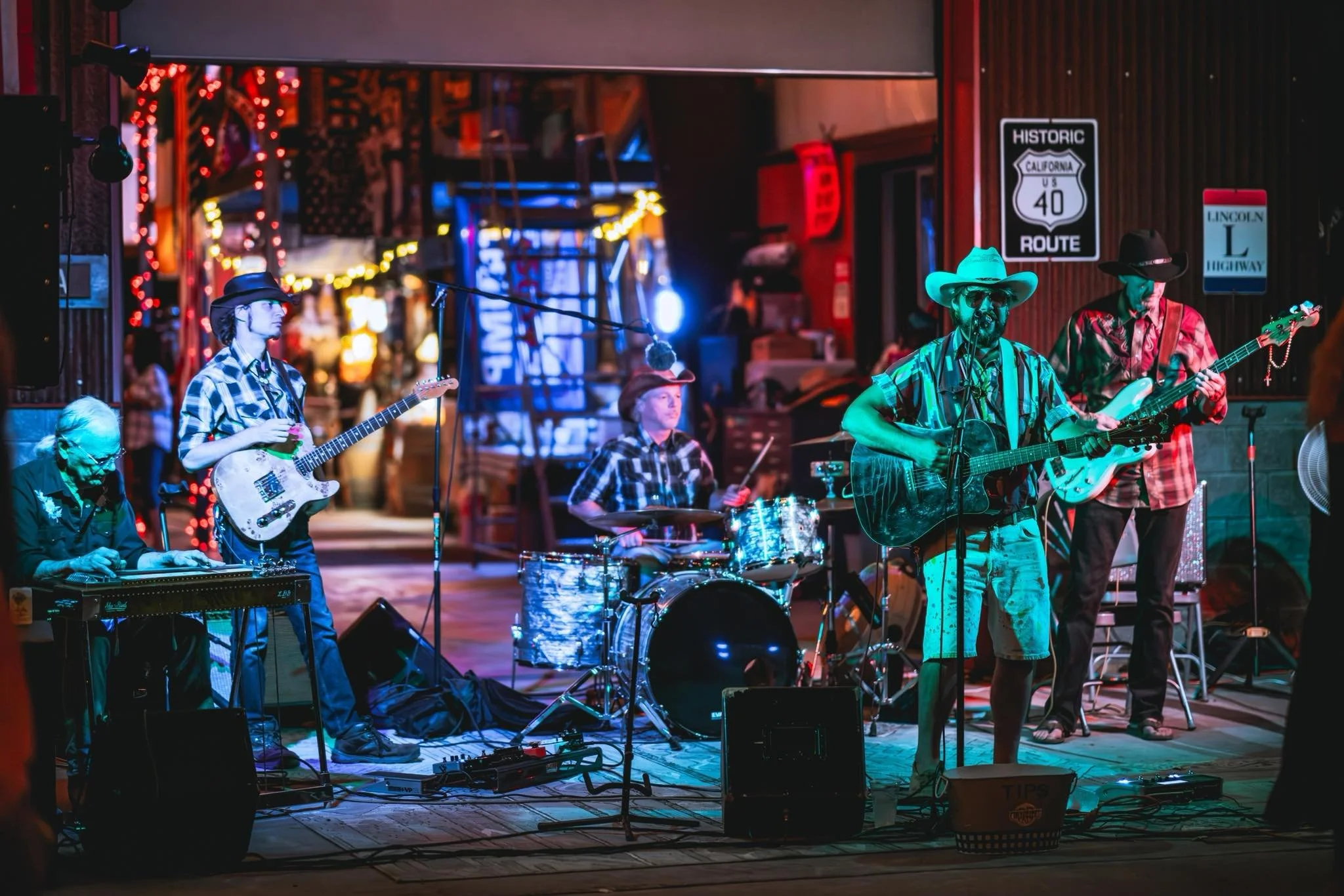 Friday Night Live - Chicken Fried Cats