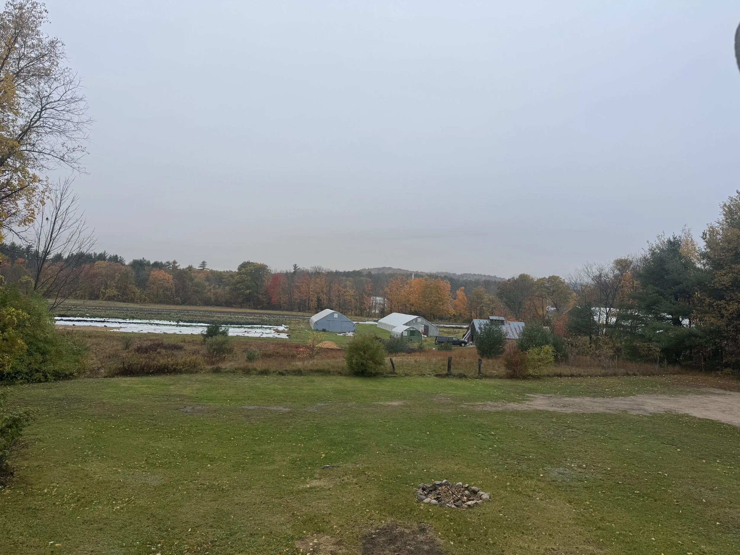 Lodge view.jpeg
