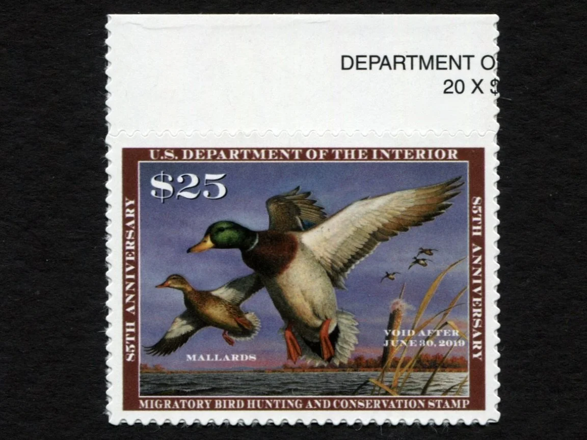 RW85 2018-19 VF/XF Mallards Duck Stamp