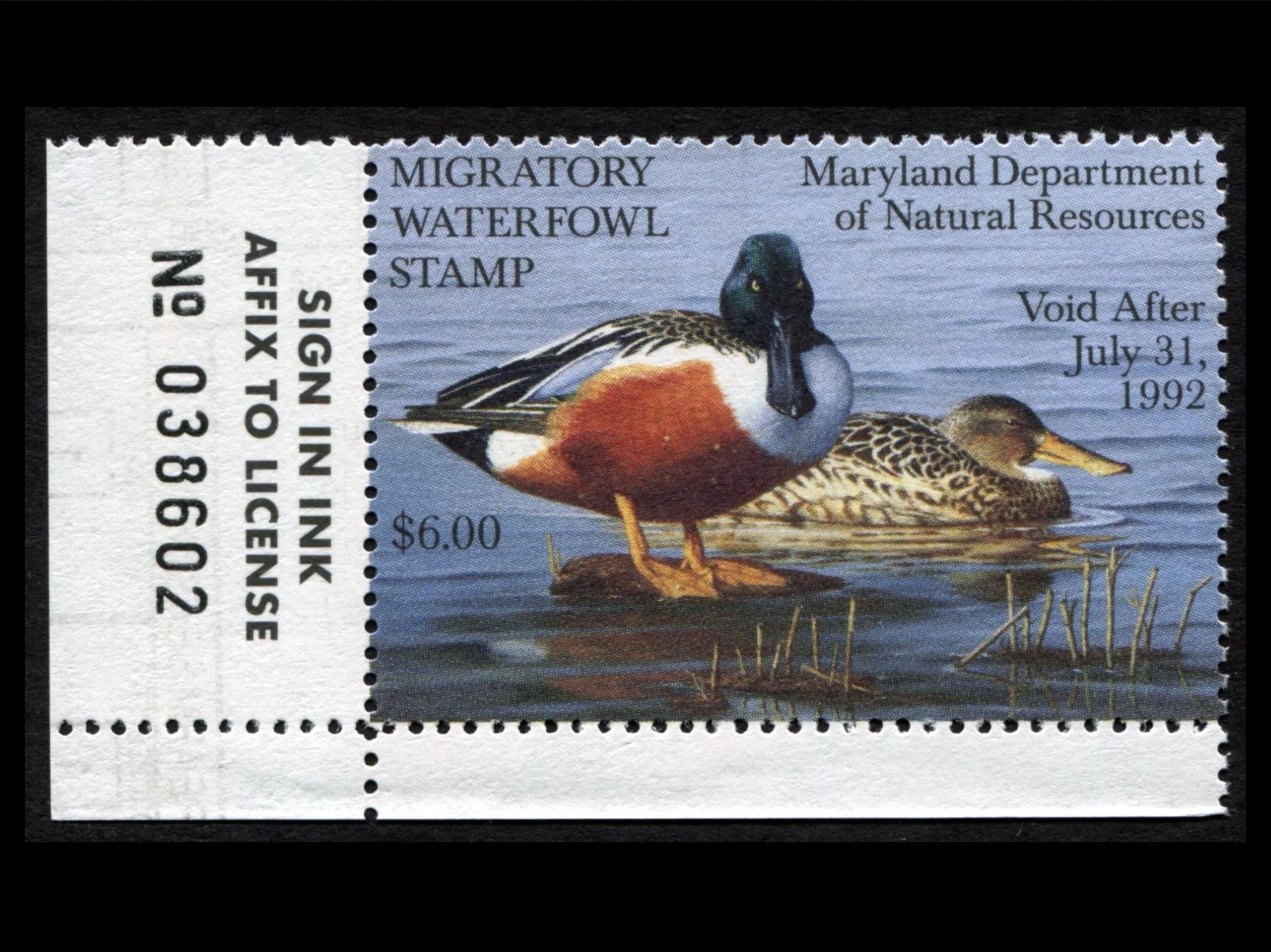 MD18 Maryland 1991 Northern Shoveler Duck Stamp, MNH