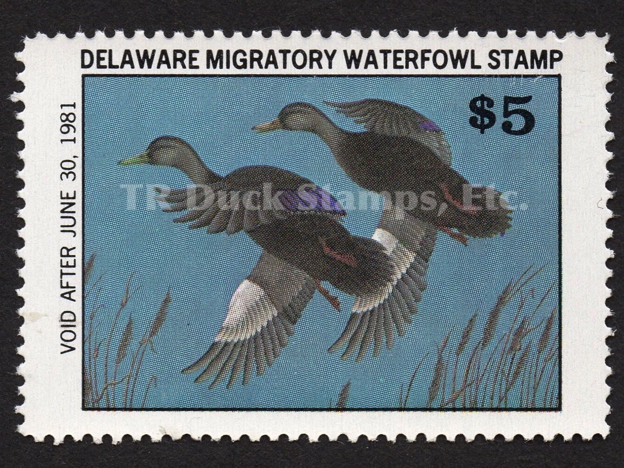 DE1 Delaware First of State 1980 Black Ducks